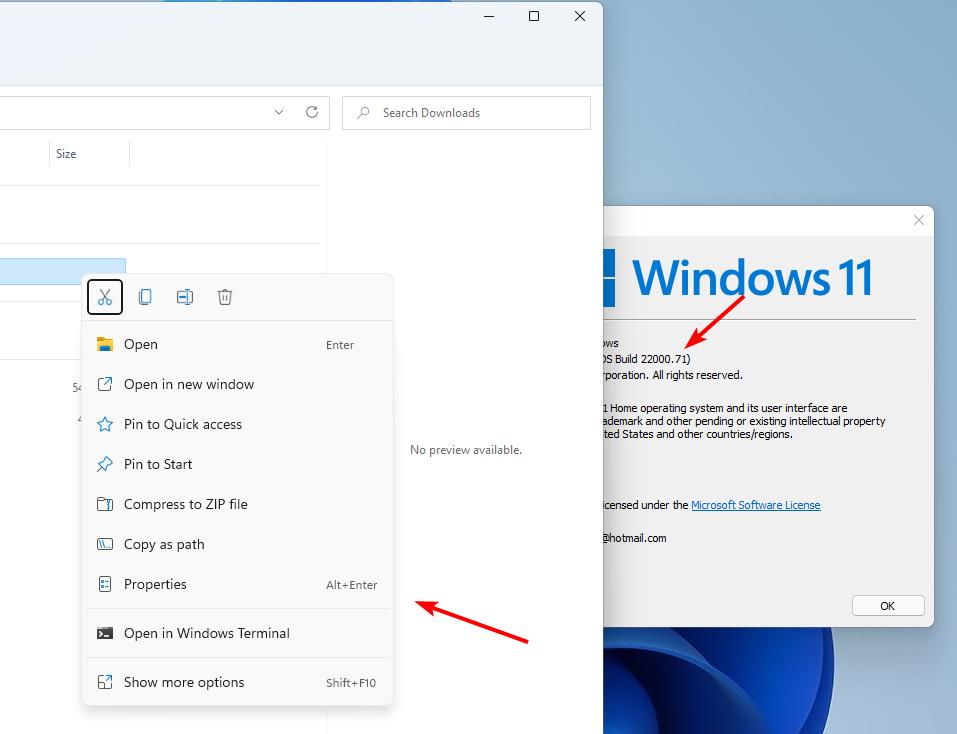 Windows 11 Insider Preview Build 22000.71 - sin menú acrílico en Explorer