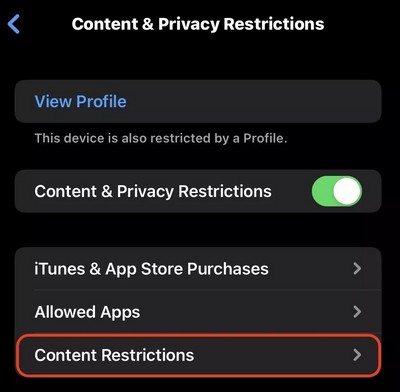 Restricciones de contenido