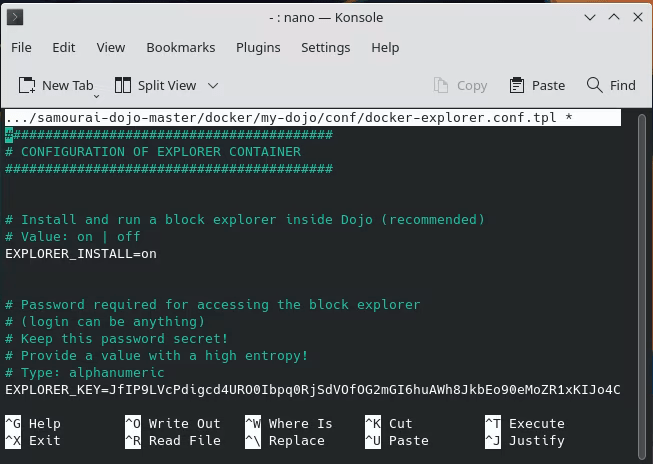 Ejemplo de configuración de Bitcoin Dojo Install 16 Block Explorer
