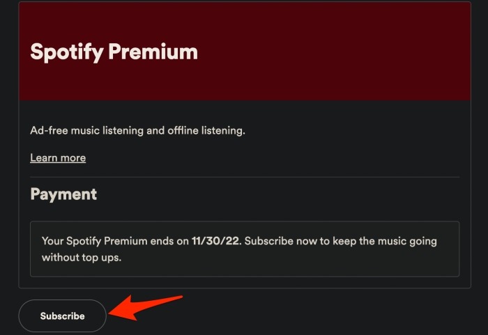 Página de detalles de pago de Spotify