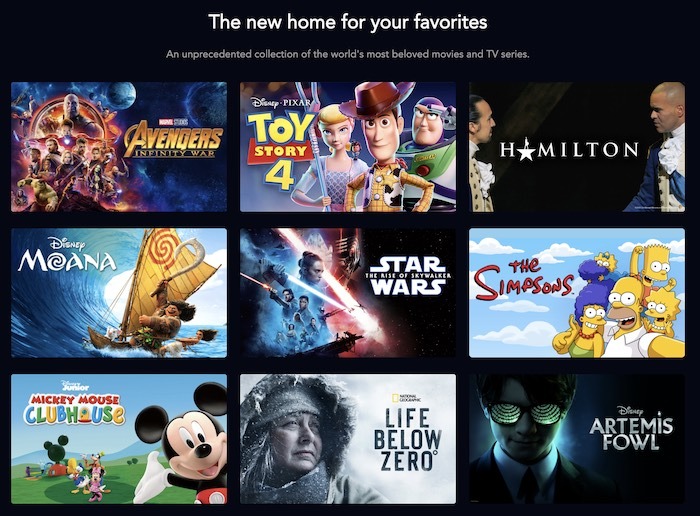 What You Need Disney Plus Content
