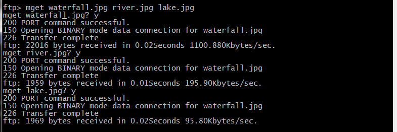 ftp_mget ftp_mget