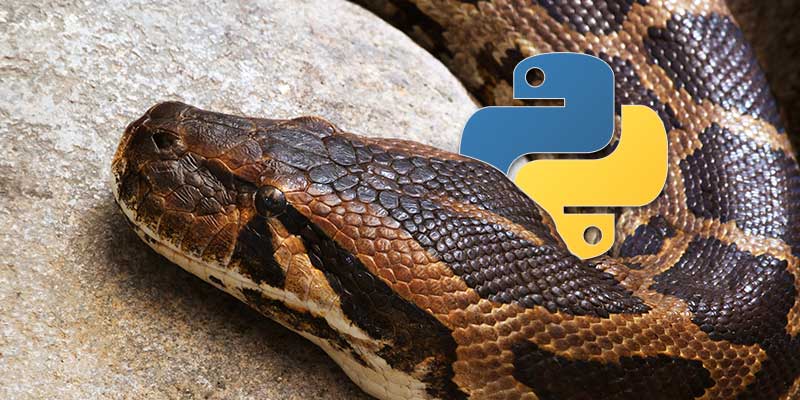 Actualizar y usar Python 3 en una Mac