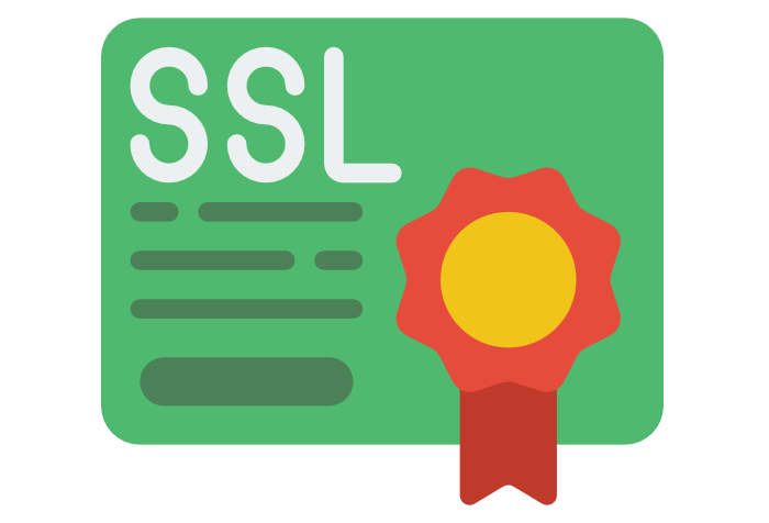 Ssl Certificate Vector