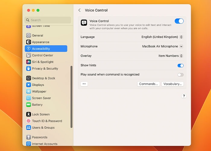 Using Voice Control On Mac Enabled